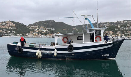 www.pescaturismemallorca.com excursions en vaixell a Mallorca amb Ferre