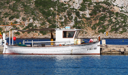 www.pescaturismemallorca.com excursions en vaixell a Mallorca amb Xoriguer
