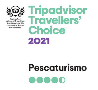 Pescaturisme Mallorca guanya el premi Travellers' Choice de Tripadvisor
